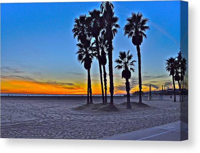 Landscape Canvas Print featuring the photograph Palm Tree Beauty by Joe Burns