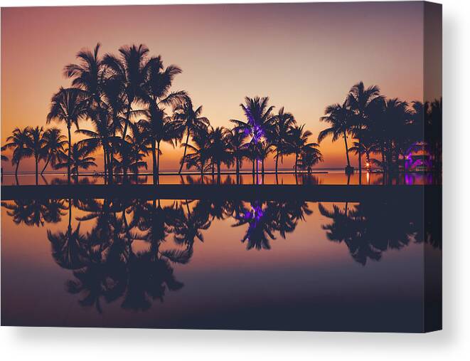 Tropical Rainforest Canvas Print featuring the photograph Palm Tree Silhouettes At Sunset, Africa by 35007