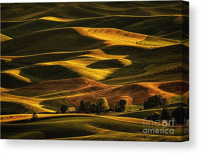 Palouse Sunset From Steptoe Butte Canvas Print featuring the photograph Palouse Sunset from Steptoe Butte by Priscilla Burgers