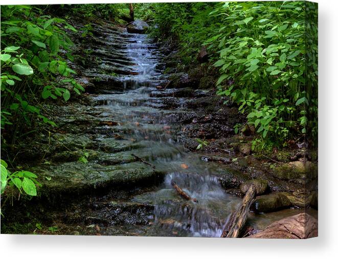 Waterfall Canvas Print featuring the photograph Parfrey's Glen Tributary by Dale Kauzlaric