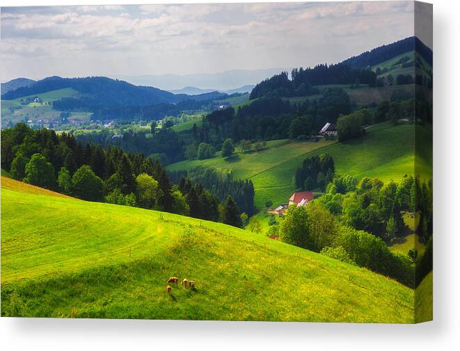 Germany Canvas Print featuring the photograph Partly Sunny at Black Forest by Shuwen Wu