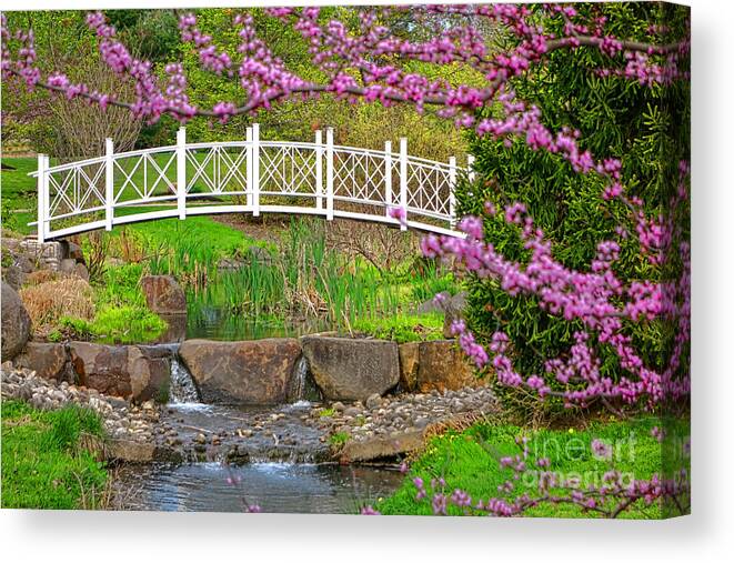 Sayen Canvas Print featuring the photograph Passerelle by Olivier Le Queinec