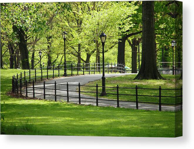 Tranquility Canvas Print featuring the photograph Path Goes Through Under The Fresh Green by Toshi Sasaki
