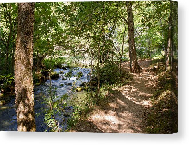 Outdoors Canvas Print featuring the photograph Pathway Along the Springs by John M Bailey