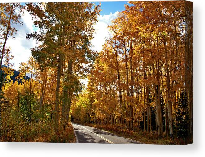 Landscapes Canvas Print featuring the photograph Paved With Gold by Jeremy Rhoades