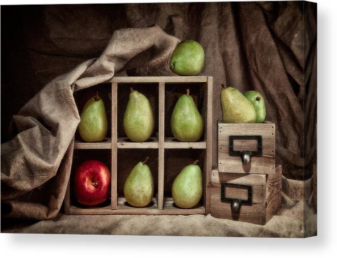 Abundance Canvas Print featuring the photograph Pears on Display Still Life by Tom Mc Nemar