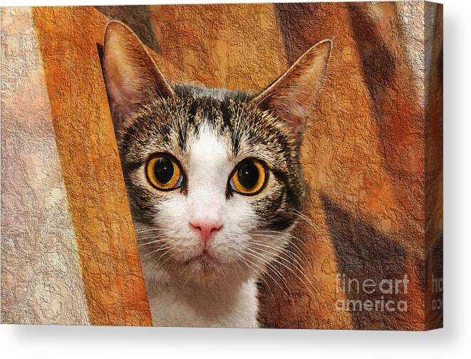 Animal Canvas Print featuring the photograph Peek A Boo I See You by Andee Design