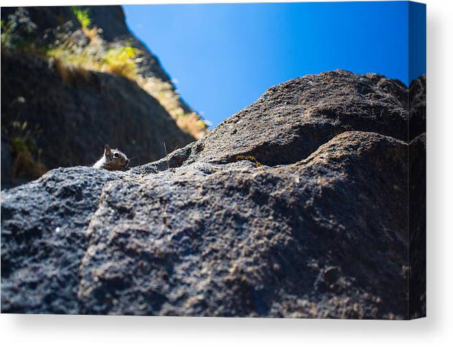 Yosemite Canvas Print featuring the photograph Peekaboo by Mike Lee