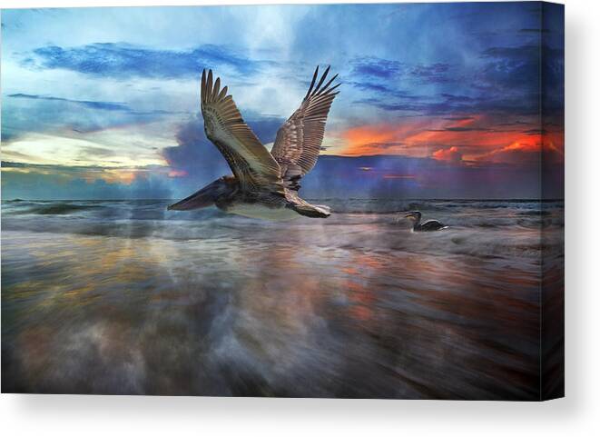 Pelican Canvas Print featuring the photograph Pelican Sunrise by Betsy Knapp