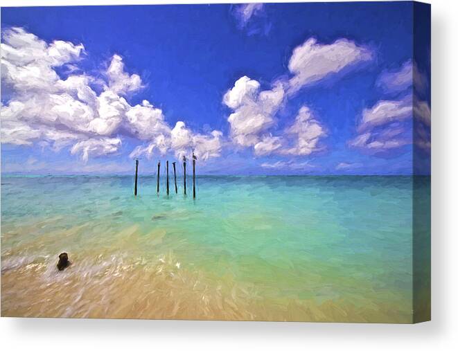 Aruba Canvas Print featuring the painting Pelicans of Aruba by David Letts