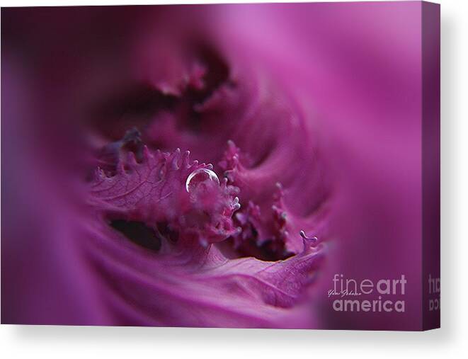 Droplets Canvas Print featuring the photograph Perfect hiding place by Yumi Johnson