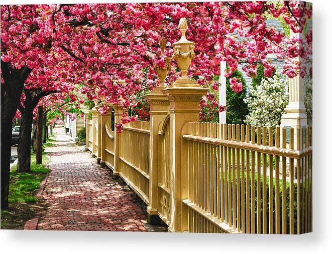Salem Canvas Print featuring the photograph Perfect time for a spring walk by Jeff Folger