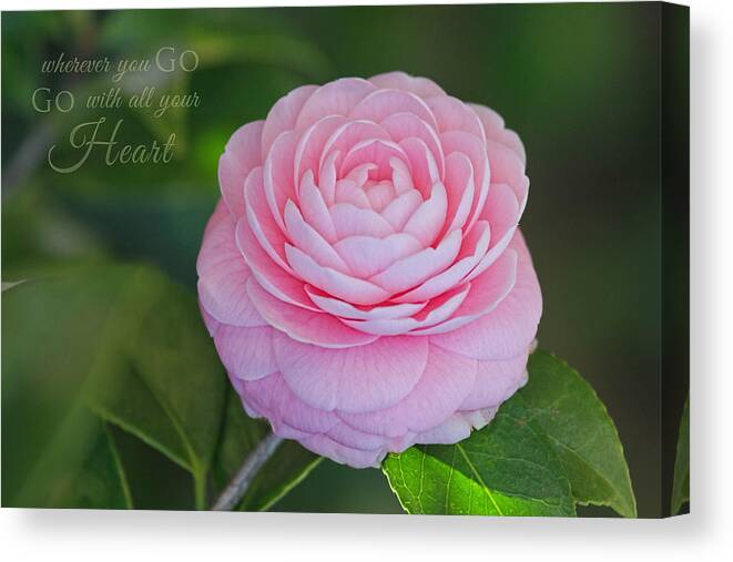 Flower Artwork Canvas Print featuring the photograph Perfection with Message by Mary Buck