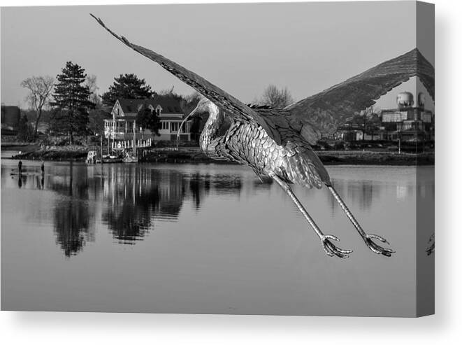 Acrylic Print Canvas Print featuring the photograph Pewter Great Blue Heron by Thomas Lavoie