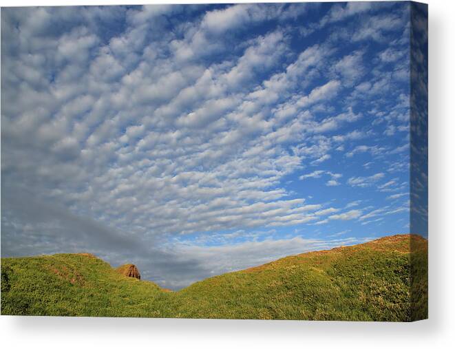 Australia Canvas Print featuring the photograph Phillip Island One by A K Dayton