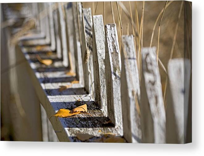 Still Life Photography Canvas Print featuring the photograph Picket Fence by Bonnie Bruno