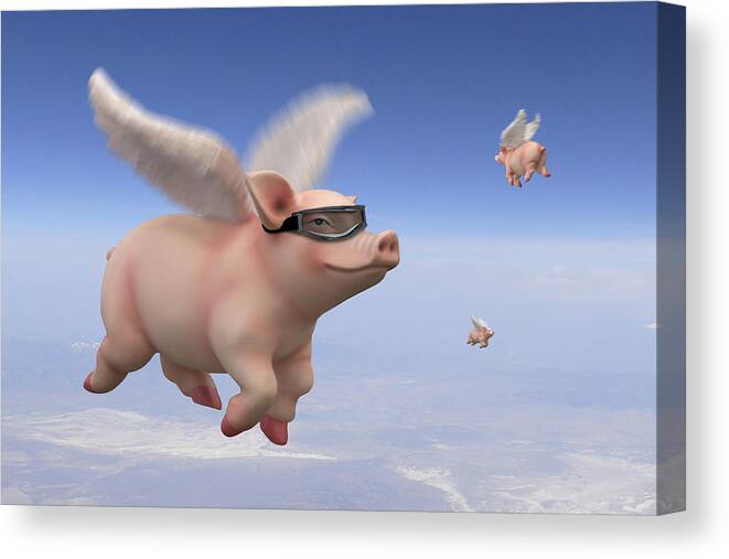 Pigs Fly Canvas Print featuring the photograph Pigs Fly 1 by Mike McGlothlen