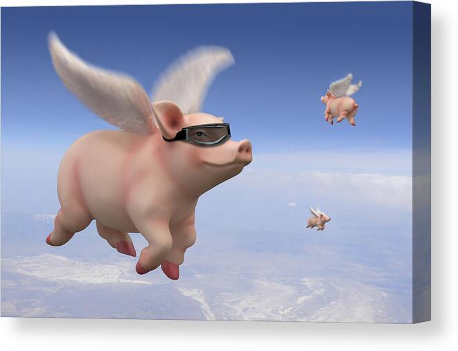 Pigs Fly Canvas Print featuring the photograph Pigs Fly by Mike McGlothlen