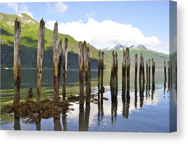Landscape Canvas Print featuring the photograph Pilings by Cathy Mahnke