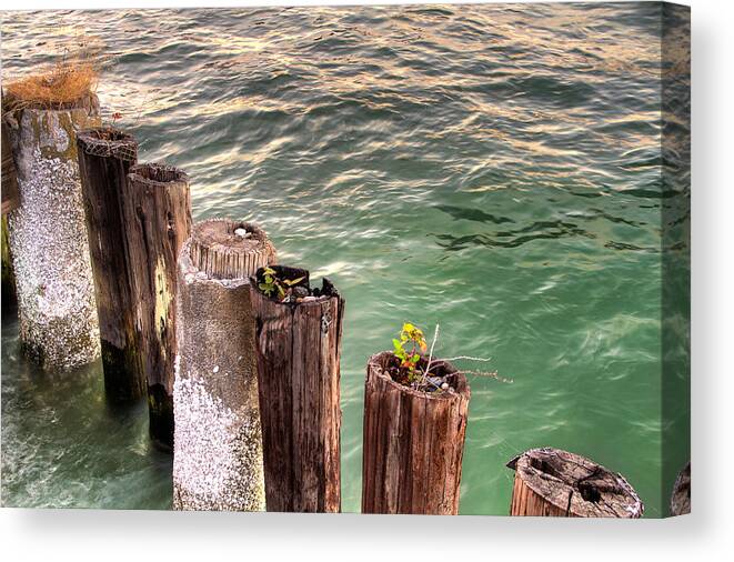 Pilings Canvas Print featuring the photograph Pilings in Commencement Bay Tacoma WA by Rob Green