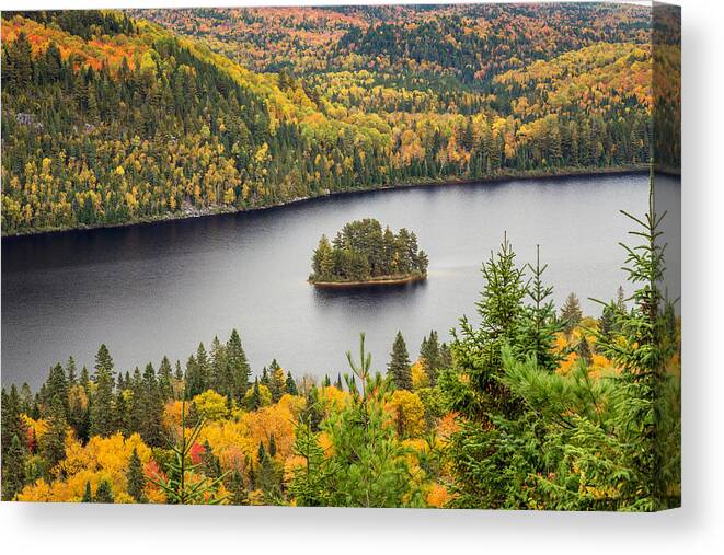 Pine Island Canvas Print featuring the photograph Pine Island in Lake Wapizagonke by Pierre Leclerc Photography