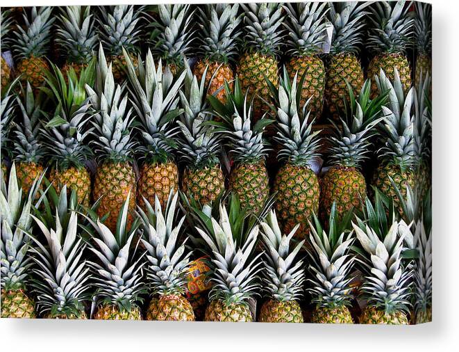 Pineapples Canvas Print featuring the photograph Pineapples by Gia Marie Houck