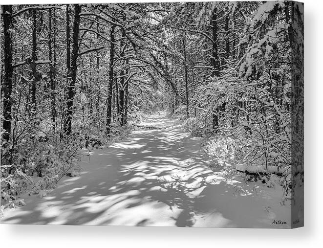 Snow Canvas Print featuring the photograph Pineland Winter by Charles Aitken