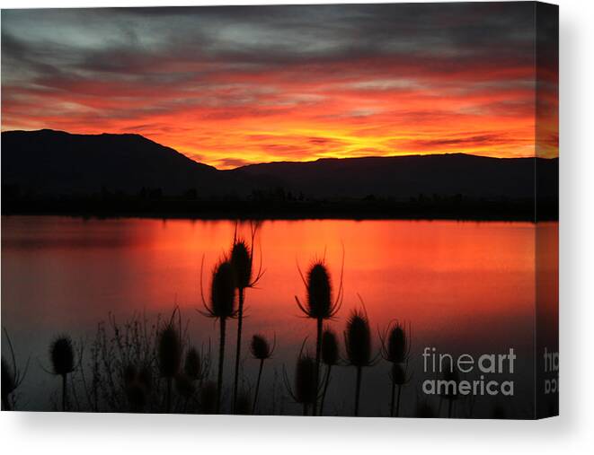 Pineview Canvas Print featuring the photograph Pineview Dawn by Bill Singleton