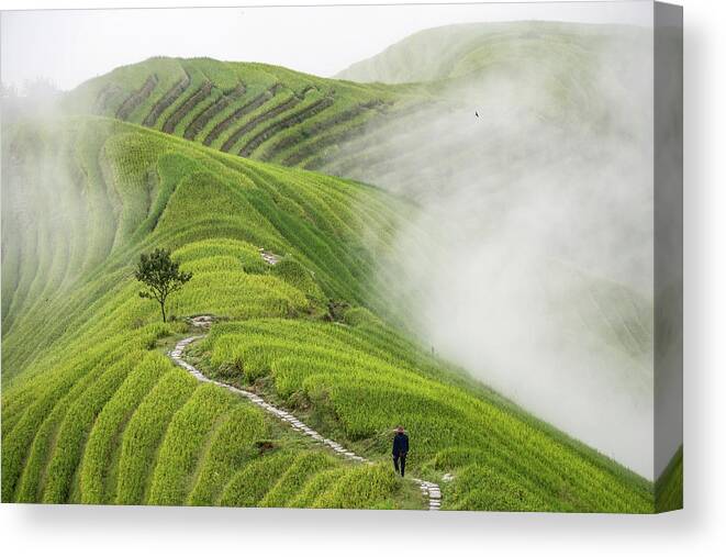 China Canvas Print featuring the photograph Ping'an Rice Terraces by Miha Pavlin