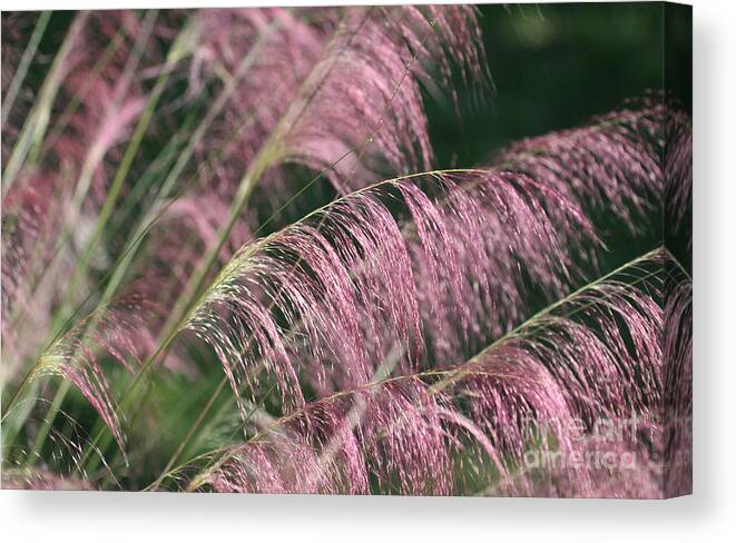 Pink Canvas Print featuring the photograph Pink and Green by Jayne Carney