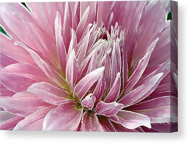 Pink Canvas Print featuring the photograph Pink Dahlia - Digital Art by Ellen Tully