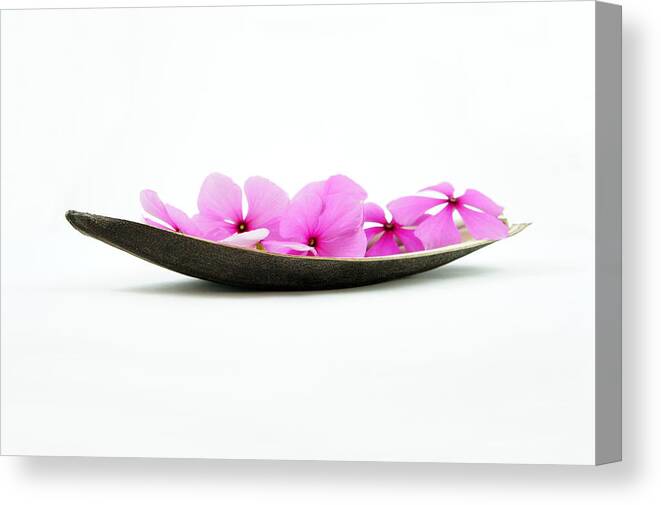 Flower Canvas Print featuring the photograph Pink Flower Boat by Aged Pixel