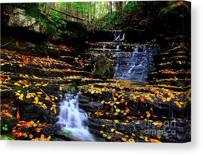 Water Canvas Print featuring the photograph Pipestem Beauty by Melissa Petrey