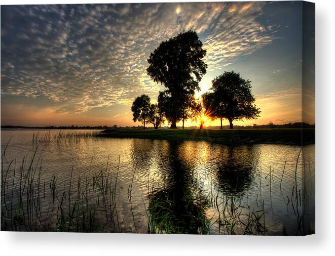 Blue Hour Canvas Print featuring the photograph Pithers Oaks by Jakub Sisak