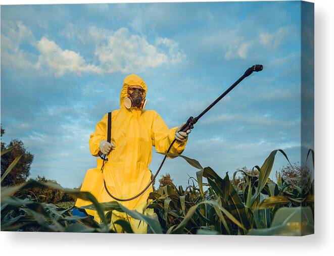 Expertise Canvas Print featuring the photograph Plantation spraying by D-Keine