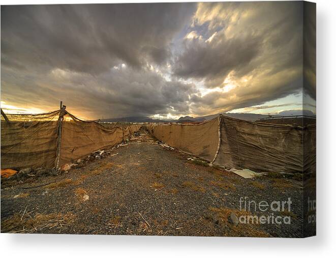 Plantation Canvas Print featuring the photograph Plantation Twylight by Rob Hawkins