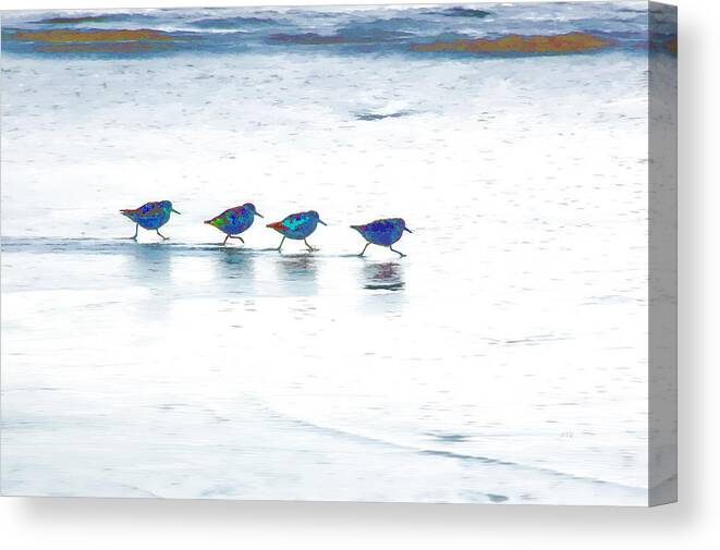 Beach Canvas Print featuring the photograph Plovers in a Row by Allan Van Gasbeck