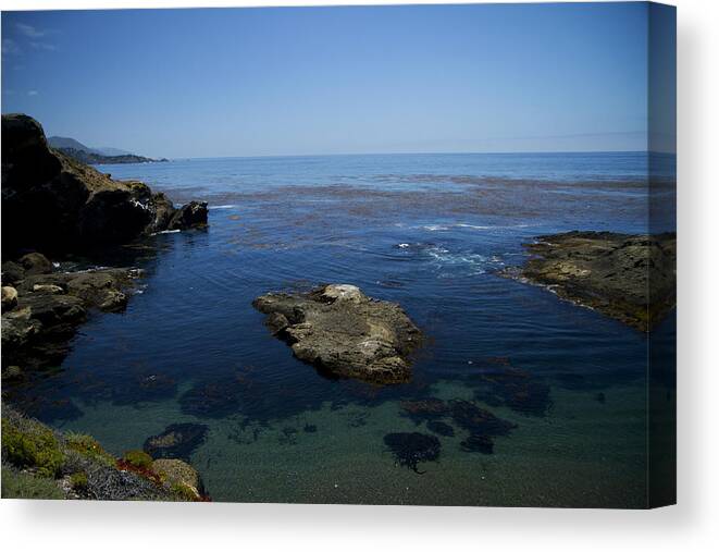 Pacific Ocean Canvas Print featuring the photograph Point Lobos 1 by Tom Kelly