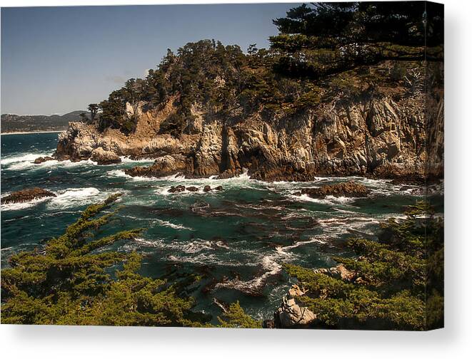 Photography Canvas Print featuring the photograph Point Lobos by Lee Kirchhevel