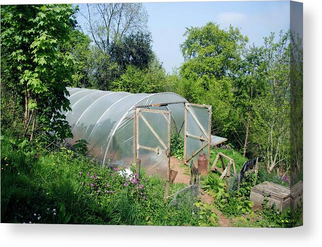 Polytunnel Canvas Print featuring the photograph Polytunnel by Cordelia Molloy/science Photo Library