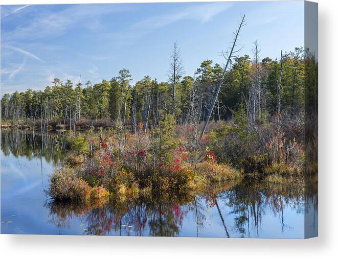 Pond. Autumn Colors Canvas Print featuring the photograph Water Garden by Charles Aitken