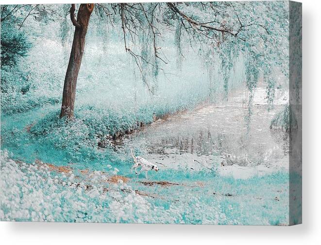 Nature Canvas Print featuring the photograph Pond Under the Shadow Willow. Nature in Alien Skin by Jenny Rainbow