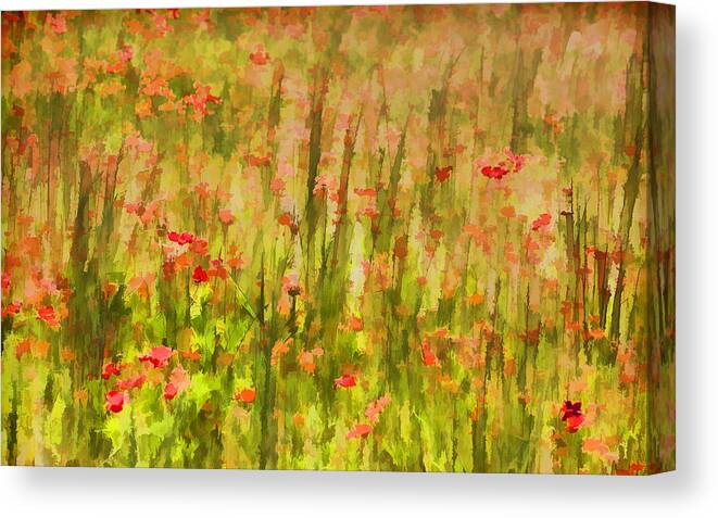 Flowers Meadow Canvas Print featuring the painting Poppies of Tuscany II by David Letts