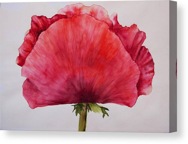 Poppy Canvas Print featuring the painting Poppy by Sally Quillin