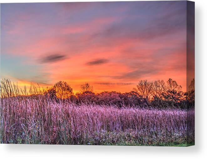 Sunrise Canvas Print featuring the photograph Moraine Hills State Park Moments Before Sunrise by Roger Passman