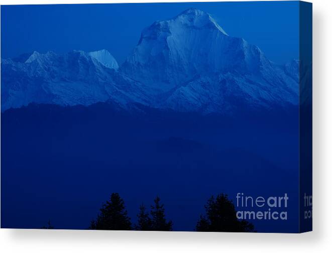 Himalaya Canvas Print featuring the photograph Pre dawn light on Dhaulagiri by Colin Woods