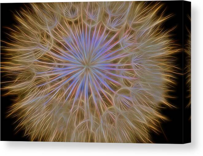 Dandelion Canvas Print featuring the photograph Psychedelic Dandelion Art by James BO Insogna