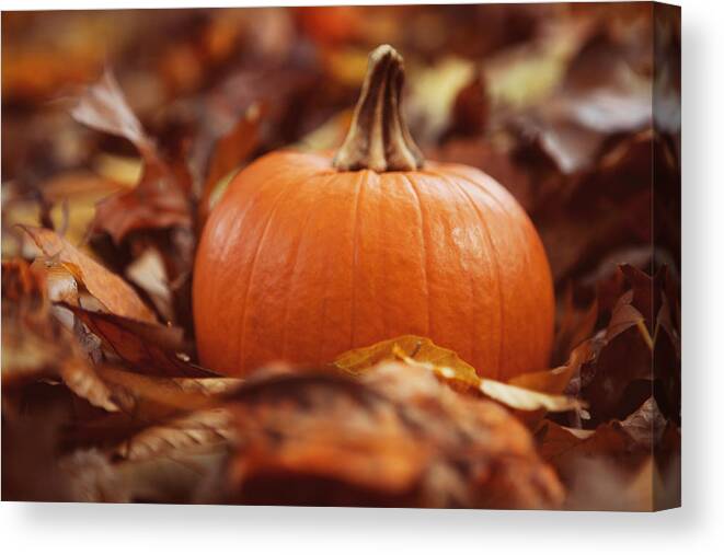 Pumpkin Canvas Print featuring the photograph Pumpkin in Leaves by Kim Fearheiley
