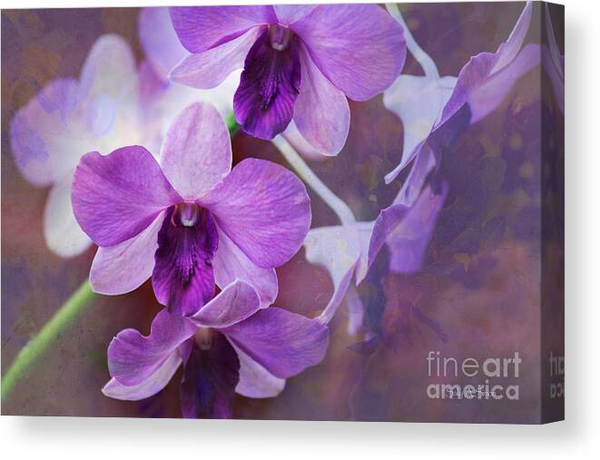 Flowers Canvas Print featuring the photograph Purple Orchids by Sally Simon
