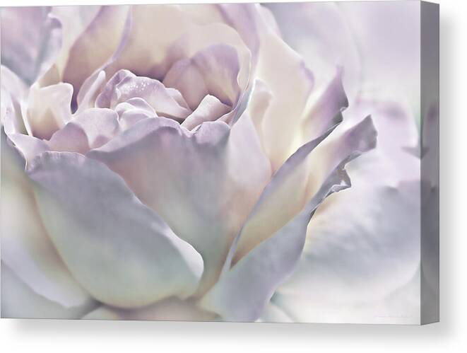 Rose Canvas Print featuring the photograph Purple Passion Pastel Rose Flower by Jennie Marie Schell